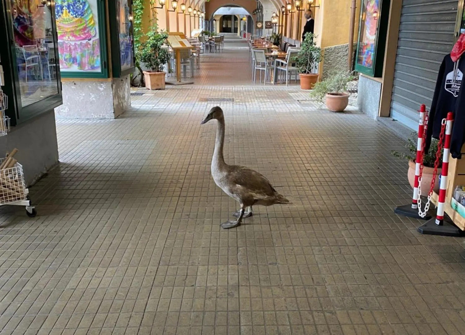 Nyaraló Akasa On Lake Como Menaggio Olaszország